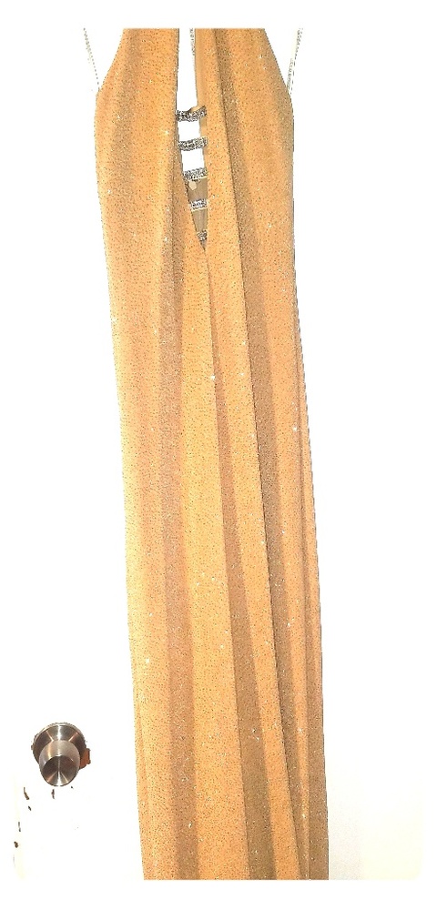 Gold sparkly gown